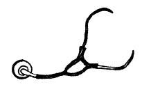 Иллюстрация к книге — 007 и черные дыры [i_032.jpg]