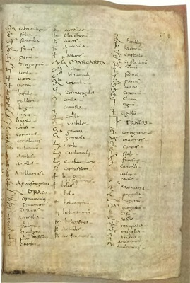 Иллюстрация к книге — В ожидании Апокалипсиса. Франкское общество в эпоху Каролингов, VIII–X века [i_013.jpg]