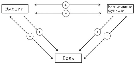 Иллюстрация к книге — Счастливое старение. Рекомендации нейробиолога о том, как жить долго и хорошо [i_018.jpg]