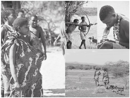 Иллюстрация к книге — Счастливое старение. Рекомендации нейробиолога о том, как жить долго и хорошо [i_021.jpg]