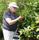 Иллюстрация к книге — Привет из Чикаго. Перевод с американского на русский и обратно [i_035.jpg]