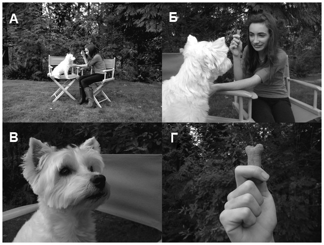 Иллюстрация к книге — Сцена первая, дубль первый [i_015.jpg]