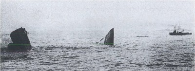 Иллюстрация к книге — Великая война. 1914–1918 [i_061.jpg]