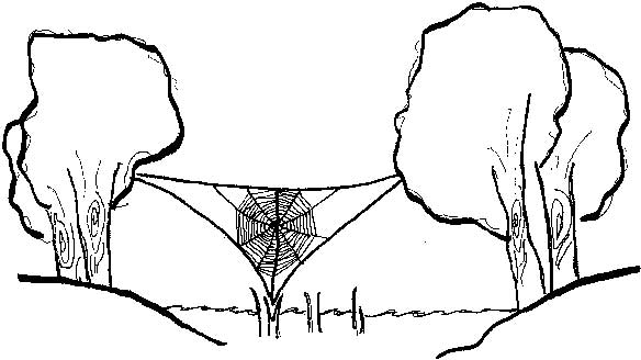 Иллюстрация к книге — Built. Неизвестные истории известных зданий [i_091.jpg]