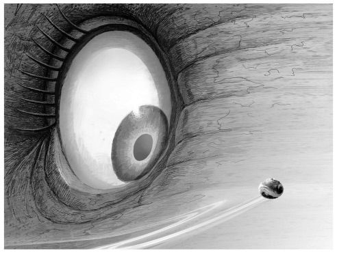 Иллюстрация к книге — Кадр за кадром. От замысла к фильму [i_013.jpg]