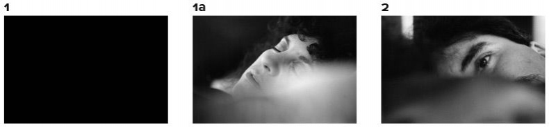 Иллюстрация к книге — Кадр за кадром. От замысла к фильму [i_231.jpg]