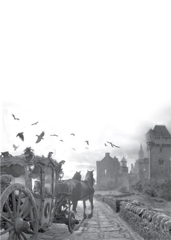 Иллюстрация к книге — Ведьма. Эпизод 1 [i_008.jpg]