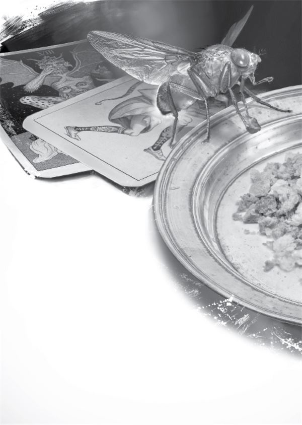 Иллюстрация к книге — Ведьма. Эпизод 1 [i_015.jpg]