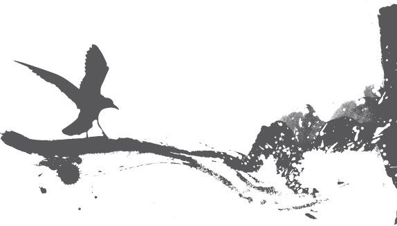 Иллюстрация к книге — Двойные мосты Венисаны [i_014.jpg]