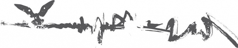 Иллюстрация к книге — Двойные мосты Венисаны [i_028.jpg]