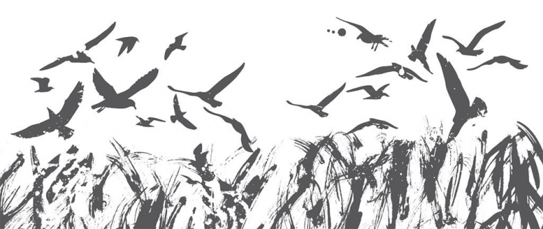 Иллюстрация к книге — Двойные мосты Венисаны [i_032.jpg]