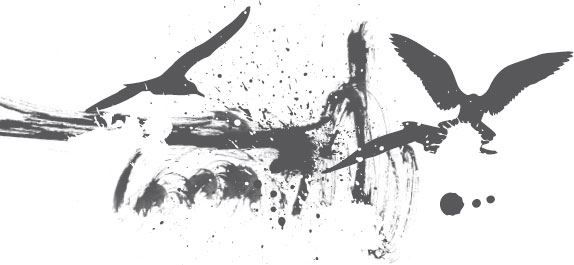 Иллюстрация к книге — Двойные мосты Венисаны [i_033.jpg]