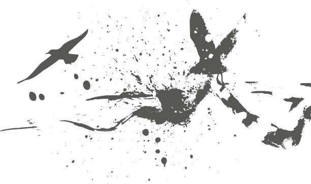 Иллюстрация к книге — Тайные ходы Венисаны [i_019.jpg]