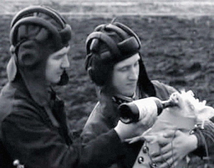 Иллюстрация к книге — Миражи советского. Очерки современного кино [i_025.jpg]