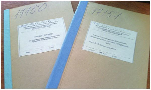 Иллюстрация к книге — Город Бонивур. Последняя великая стройка СССР [i_170.jpg]