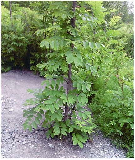 Иллюстрация к книге — Город Бонивур. Последняя великая стройка СССР [i_177.jpg]