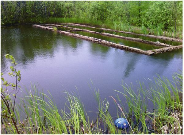 Иллюстрация к книге — Город Бонивур. Последняя великая стройка СССР [i_195.jpg]
