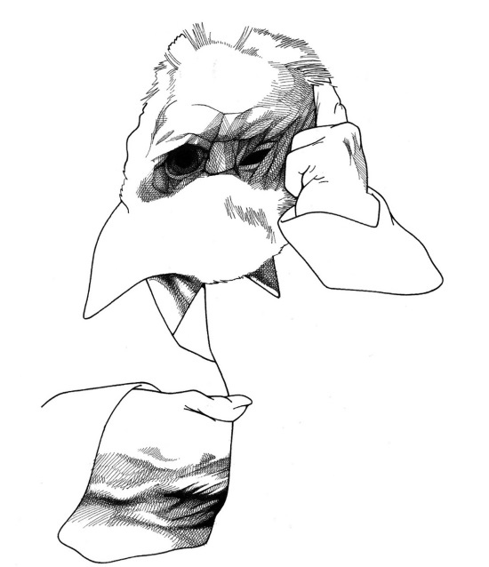 Иллюстрация к книге — Машинерия портрета. Опыт зрителя, преподавателя и художника [i_004.jpg]