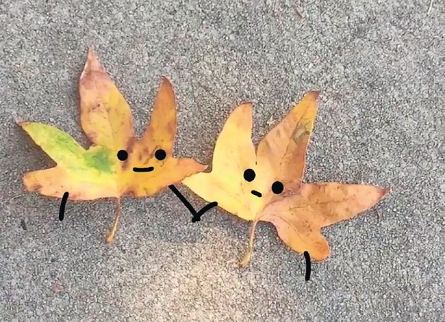 Иллюстрация к книге — Машинерия портрета. Опыт зрителя, преподавателя и художника [i_015.jpg]