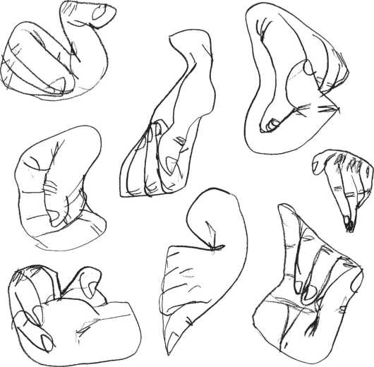 Иллюстрация к книге — Машинерия портрета. Опыт зрителя, преподавателя и художника [i_069.jpg]