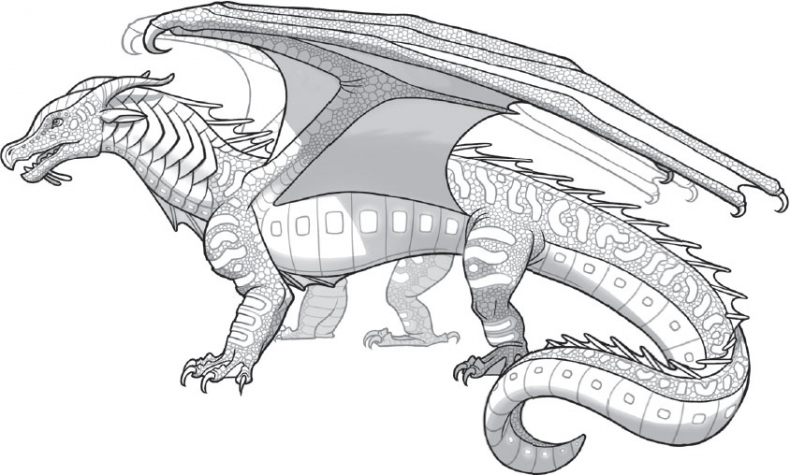 Иллюстрация к книге — Драконья сага. Легенды: Мракокрад [i_004.jpg]