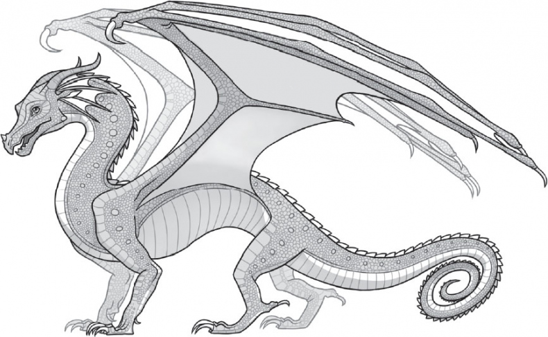 Иллюстрация к книге — Драконья сага. Легенды: Мракокрад [i_006.jpg]