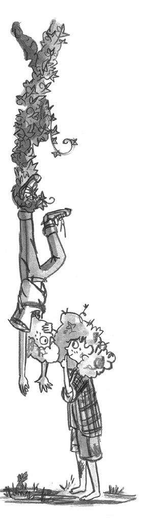 Иллюстрация к книге — Секрет дома напротив [i_004.jpg]