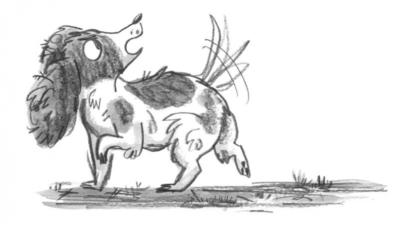 Иллюстрация к книге — Секрет дома напротив [i_010.jpg]