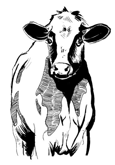 Иллюстрация к книге — Секретная жизнь коров. Истории о животных, которые не так глупы, как нам кажется [i_017.jpg]