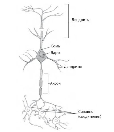 Иллюстрация к книге — Сознание за пределами жизни. Наука о жизни после смерти [i_020.jpg]