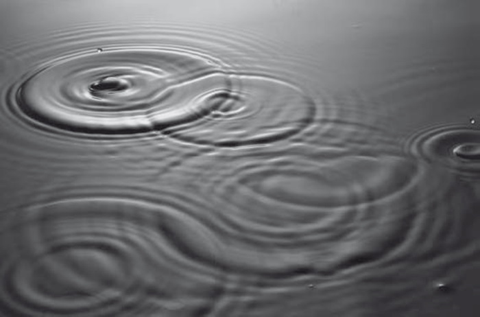 Иллюстрация к книге — Сознание за пределами жизни. Наука о жизни после смерти [i_025.jpg]