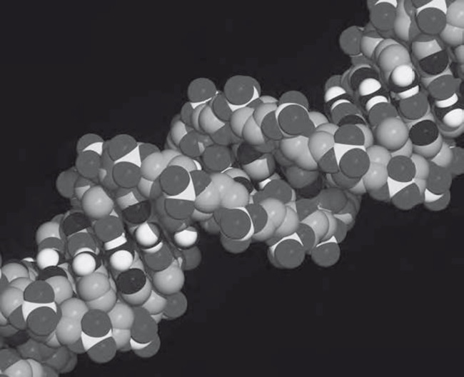 Иллюстрация к книге — Сознание за пределами жизни. Наука о жизни после смерти [i_026.jpg]