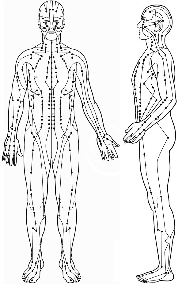 Иллюстрация к книге — Тело исцеляет само себя. Глубокое изучение работы мышц и их связи с эмоциями [i_002.jpg]