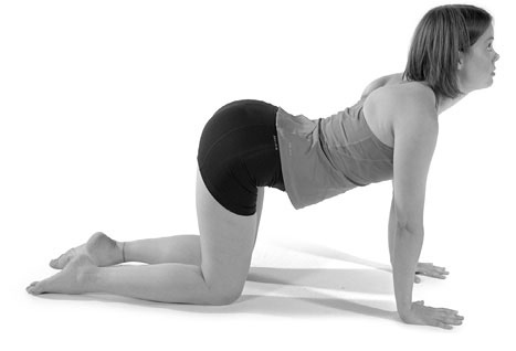 Иллюстрация к книге — Тело исцеляет само себя. Глубокое изучение работы мышц и их связи с эмоциями [i_021.jpg]