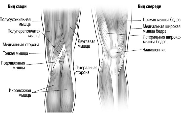 Иллюстрация к книге — Тело исцеляет само себя. Глубокое изучение работы мышц и их связи с эмоциями [i_040.jpg]