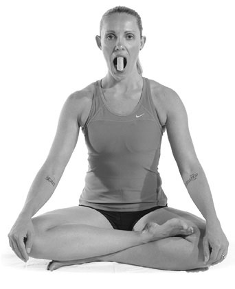 Иллюстрация к книге — Тело исцеляет само себя. Глубокое изучение работы мышц и их связи с эмоциями [i_107.jpg]