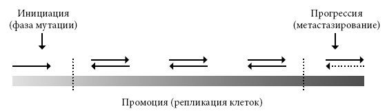 Иллюстрация к книге — Правила еды. Передовые идеи в области питания, которые позволят предотвратить распространенные заболевания [i_043.jpg]