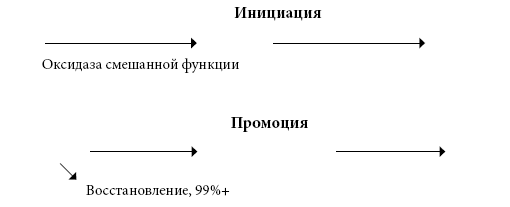 Иллюстрация к книге — Правила еды. Передовые идеи в области питания, которые позволят предотвратить распространенные заболевания [i_044.jpg]
