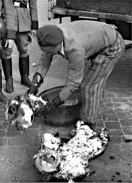 Иллюстрация к книге — Мобилизованная нация. Германия 1939–1945 [i_045.jpg]