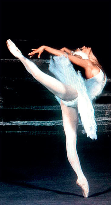 Иллюстрация к книге — Плата за успех. Откровенная автобиография [i_122.jpg]