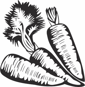 Иллюстрация к книге — Живая косметика [_133.jpg]