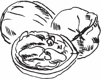 Иллюстрация к книге — Живая косметика [_143.jpg]