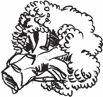 Иллюстрация к книге — Живая косметика [_145.jpg]