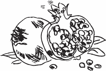 Иллюстрация к книге — Живая косметика [_157.jpg]