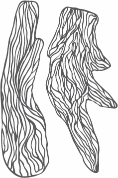 Иллюстрация к книге — Живая косметика [_16.jpg]