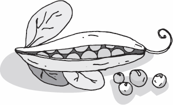 Иллюстрация к книге — Живая косметика [_22.jpg]