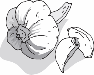 Иллюстрация к книге — Живая косметика [_24.jpg]