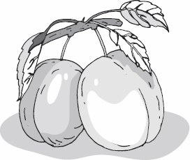 Иллюстрация к книге — Живая косметика [_50.jpg]