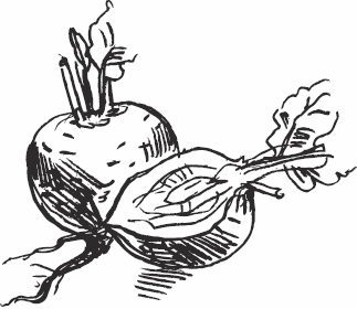 Иллюстрация к книге — Живая косметика [_54.jpg]