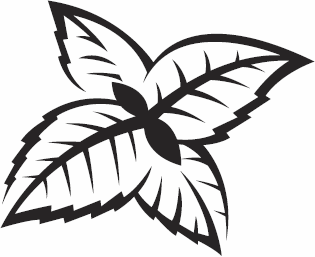 Иллюстрация к книге — Живая косметика [_59.jpg]